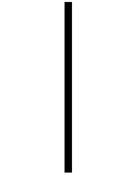 Bottom Image